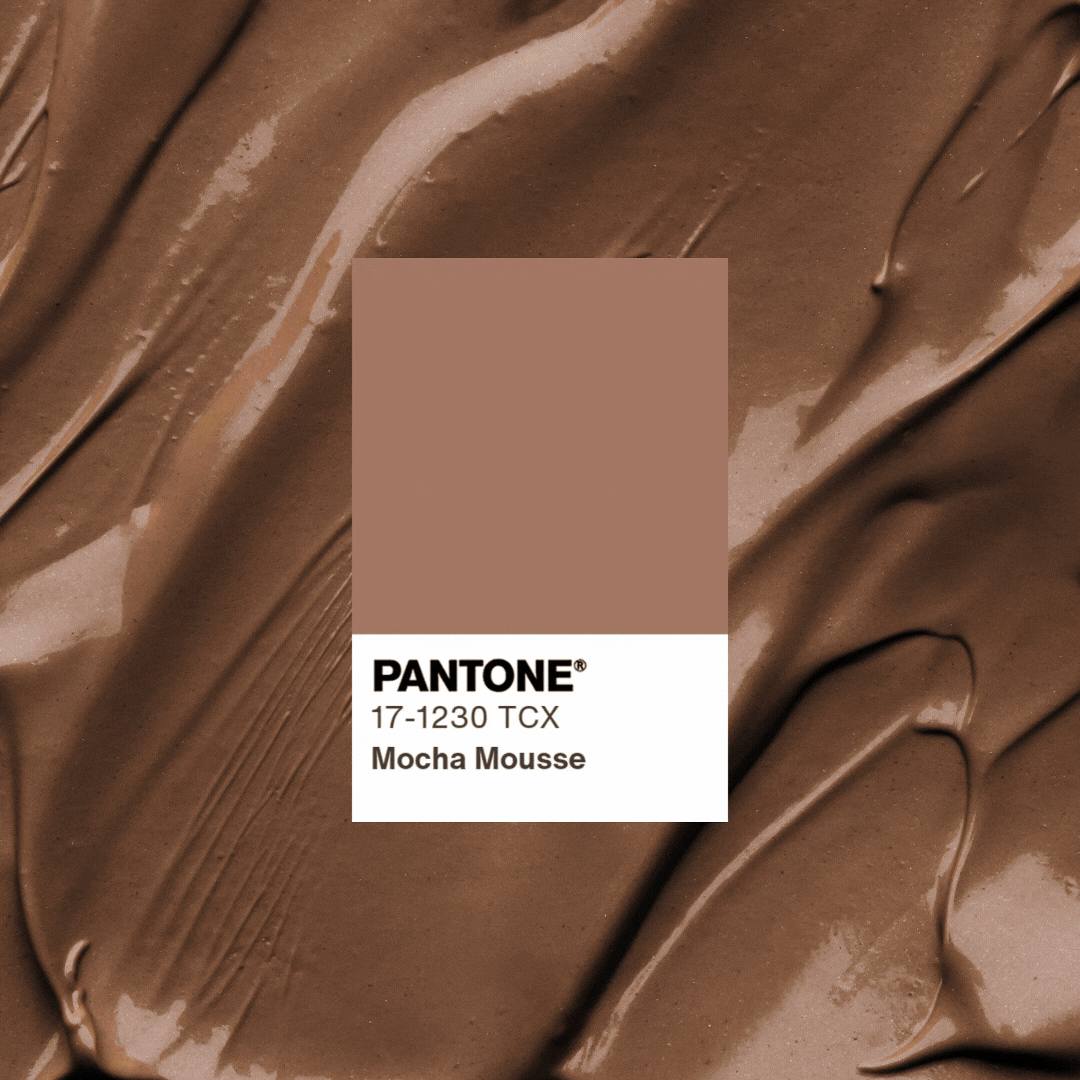 Mocha Mousse - Color Of The Year 2025 The Good Guy